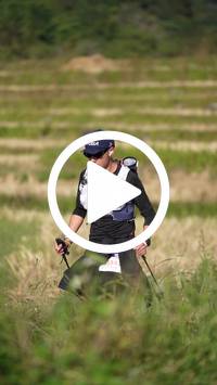 BIB:  <button type="button" onclick="openModal(26786837)" class="btn btn-primary btn-sm float-right" data-toggle="modal" data-target=".modal-high-quality">
                <i class="fa fa-download"></i> Download
                </button>